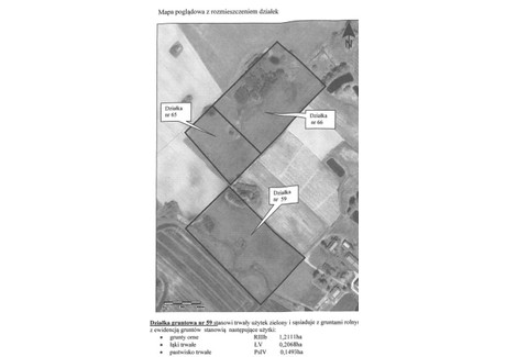 Działka na sprzedaż - Łajsy, Pieniężno, braniewski, warmińsko-mazurskie, 41 800 m², 81 100 PLN, NET-gratka-38495891