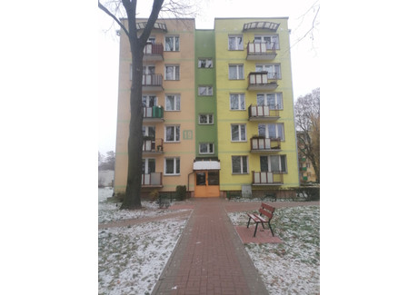 Mieszkanie na sprzedaż - Kąpielowa Biała Podlaska, lubelskie, 57 m², 289 997 PLN, NET-gratka-28734259