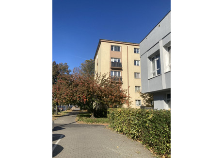 Mieszkanie do wynajęcia - Rycerska Stary Grunwald, Grunwald, Poznań, wielkopolskie, 54 m², 2100 PLN, NET-gratka-37861035