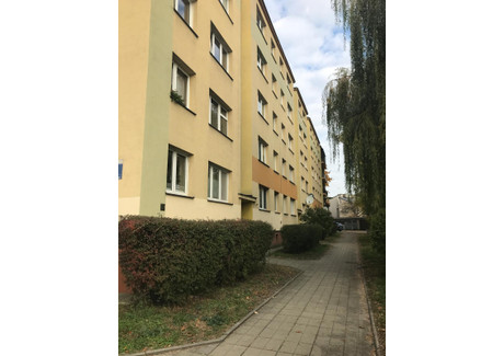 Mieszkanie na sprzedaż - Zacisze Śródmieście, Radom, mazowieckie, 48 m², 335 000 PLN, NET-gratka-38914773