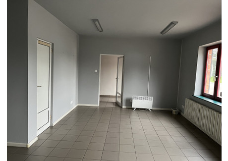 Lokal do wynajęcia - Zgierz, Zgierz, zgierski, łódzkie, 55 m², 1650 PLN, NET-gratka-36882403