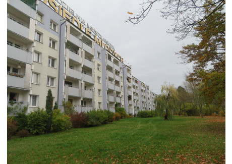 Mieszkanie na sprzedaż - os. Czecha Poznań, wielkopolskie, 53,5 m², 368 500 PLN, NET-gratka-33082919