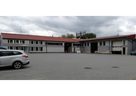 Magazyn do wynajęcia - Pojezierska Łódź, łódzkie, 1130 m², 39 500 PLN, NET-gratka-38365871