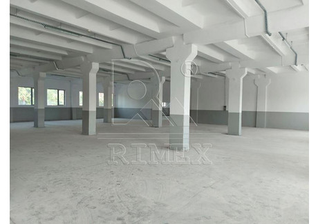 Komercyjne do wynajęcia - Кършияка/Karshiaka Пловдив/plovdiv, Bułgaria, 1700 m², 11 407 USD (46 655 PLN), NET-92402405