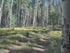 Dom na sprzedaż - 000 Forest Service Road Flagstaff, Usa, 60,39 m², 2 800 000 USD (11 396 000 PLN), NET-100853964