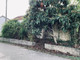 Dom na sprzedaż - Pombal, Portugalia, 55 m², 26 000 USD (104 521 PLN), NET-96124286