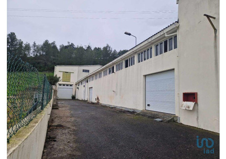 Magazyn na sprzedaż - Alcobaça, Portugalia, 1964 m², 305 079 USD (1 250 826 PLN), NET-93882976