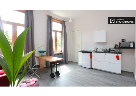 Mieszkanie do wynajęcia - Brussels, Belgia, 47 m², 846 USD (3510 PLN), NET-79093221