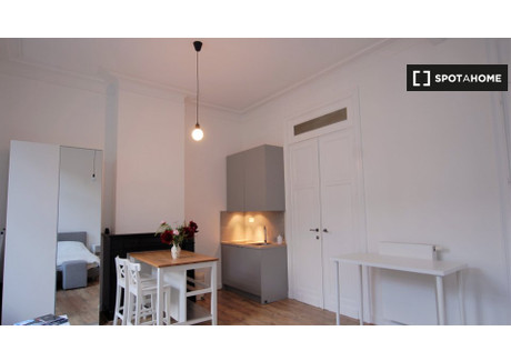 Mieszkanie do wynajęcia - Brussels, Belgia, 40 m², 1092 USD (4268 PLN), NET-79107924