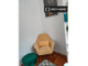 Mieszkanie do wynajęcia - Lisbon, Portugalia, 62 m², 1058 USD (4222 PLN), NET-85618069