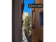 Mieszkanie do wynajęcia - Valencia, Hiszpania, 82 m², 1061 USD (4275 PLN), NET-87394336