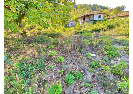 Dom na sprzedaż - гр. Златарица/gr. Zlatarica Велико Търново/veliko-Tarnovo, Bułgaria, 66 m², 19 956 USD (81 621 PLN), NET-100989446