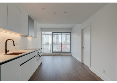 Mieszkanie na sprzedaż - 720 Rue St-Jacques Montréal (Ville-Marie), Kanada, 43,01 m², 365 438 USD (1 439 825 PLN), NET-97015999