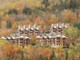 Mieszkanie na sprzedaż - 150 Ch. des Sous-Bois Mont-Tremblant, Kanada, 79,06 m², 456 942 USD (1 800 351 PLN), NET-97013322