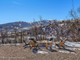 Dom na sprzedaż - 686 Oak Ridge Road Snowmass Village, Usa, 442,31 m², 45 000 USD (186 750 PLN), NET-97331527