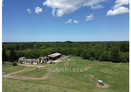 Dom na sprzedaż - Gaillan-En-Médoc, Francja, 238 m², 1 083 224 USD (4 343 729 PLN), NET-95314228