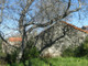 Dom na sprzedaż - Pousafoles Do Bispo, Portugalia, 378 m², 128 382 USD (519 947 PLN), NET-94028394