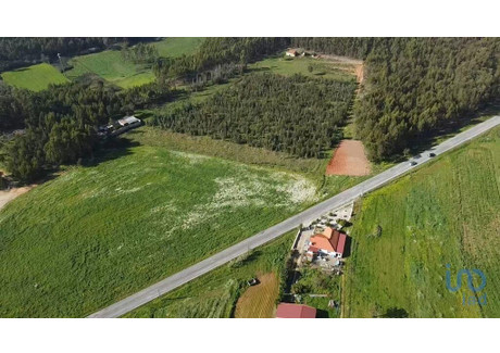 Działka na sprzedaż - Vila Facaia, Portugalia, 13 880 m², 43 334 USD (170 735 PLN), NET-94616198