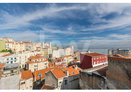 Komercyjne na sprzedaż - Sao Vicente, Portugalia, 122 m², 1 284 608 USD (4 920 047 PLN), NET-98504648