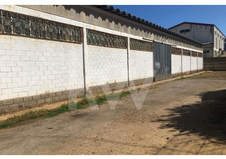 Komercyjne na sprzedaż - Portimao, Portugalia, 1499 m², 1 001 063 USD (4 104 359 PLN), NET-98504367