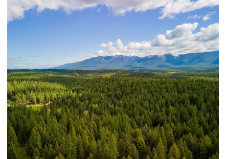 Działka na sprzedaż - NHN Broken Jaw Trail Eureka, Usa, 614 515,1 m², 1 999 999 USD (7 819 996 PLN), NET-98834313