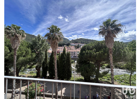 Mieszkanie na sprzedaż - Amélie-Les-Bains-Palalda, Francja, 61 m², 114 134 USD (439 415 PLN), NET-99042183