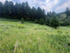 Działka na sprzedaż - TBD Moose Meadows Road, Park County, MT Livingston, Usa, 80 127,76 m², 395 000 USD (1 607 650 PLN), NET-99276430