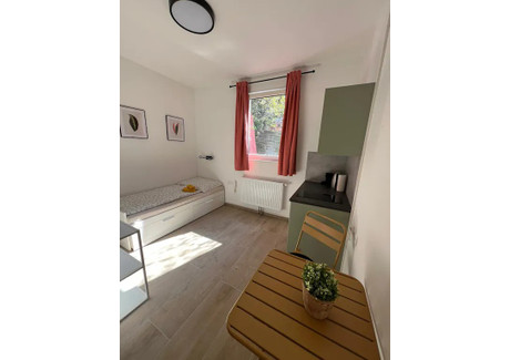 Mieszkanie do wynajęcia - Kolbegasse Vienna, Austria, 25 m², 1586 USD (6202 PLN), NET-100503029