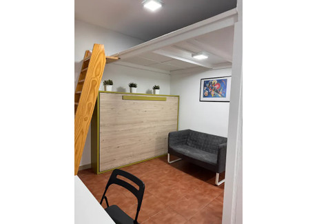 Mieszkanie do wynajęcia - Calle de Lavapiés Madrid, Hiszpania, 27 m², 825 USD (3382 PLN), NET-103216971