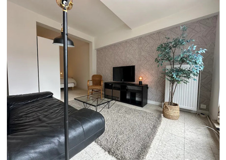 Mieszkanie do wynajęcia - Rue de la Reinette Brussels, Belgia, 45 m², 1393 USD (5588 PLN), NET-95575716