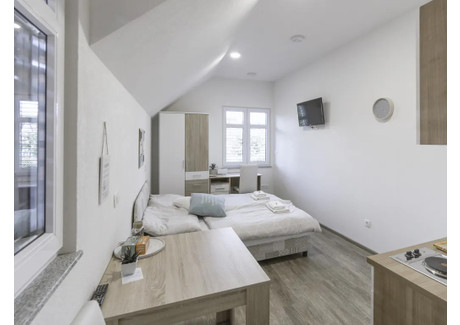Mieszkanie do wynajęcia - Krakovska ulica Ljubljana, Słowenia, 25 m², 404 USD (1635 PLN), NET-96988482