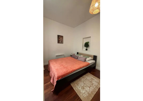 Mieszkanie do wynajęcia - Rue des Charpentiers Strasbourg, Francja, 18 m², 1030 USD (4110 PLN), NET-97197964
