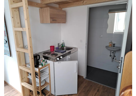 Mieszkanie do wynajęcia - Pernerstorfergasse Vienna, Austria, 25 m², 1098 USD (4215 PLN), NET-97405375