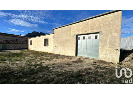 Komercyjne na sprzedaż - Saint-Paul-De-Fenouillet, Francja, 200 m², 166 608 USD (681 426 PLN), NET-100558573