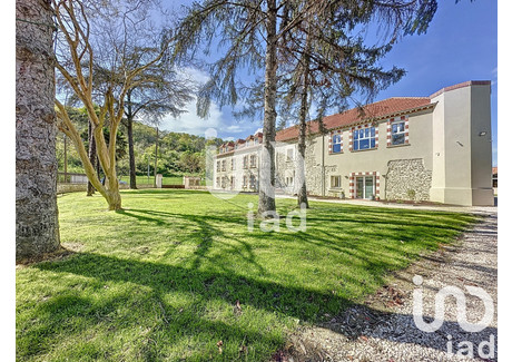 Dom na sprzedaż - Castelnau-Rivière-Basse, Francja, 800 m², 1 463 008 USD (5 603 320 PLN), NET-97047881