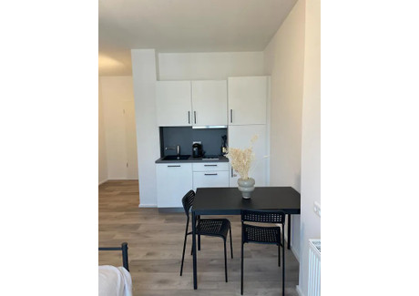 Mieszkanie do wynajęcia - Neckarstraße Stuttgart, Niemcy, 22 m², 1002 USD (4097 PLN), NET-100534267