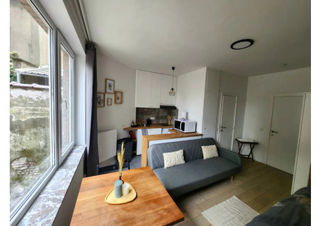 Mieszkanie do wynajęcia - Rue Saint-Alphonse Saint-Josse-Ten-Noode, Belgia, 30 m², 1097 USD (4290 PLN), NET-97405229