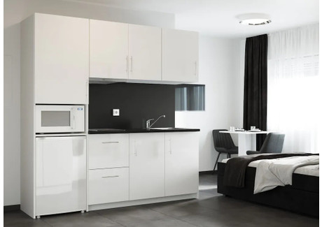 Mieszkanie do wynajęcia - Mühlheimer Straße Offenbach, Niemcy, 26 m², 1349 USD (5314 PLN), NET-90215370