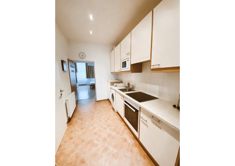 Mieszkanie do wynajęcia - Trambauerstraße Vienna, Austria, 30 m², 1294 USD (5058 PLN), NET-90215561