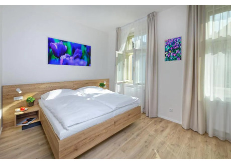 Mieszkanie do wynajęcia - Jugoslávská Prague, Czechy, 30 m², 2671 USD (10 230 PLN), NET-90229060