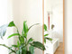 Mieszkanie do wynajęcia - Hasnerstraße Vienna, Austria, 45 m², 1474 USD (5808 PLN), NET-90251934