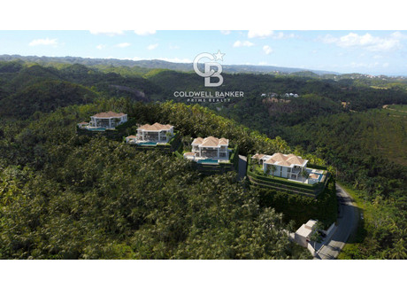 Dom na sprzedaż - Captivating 4 Bedroom Ocean View Las Terrenas Villa With Beautiful Inf Las Terrenas, Dominikana, 1101,92 m², 3 300 000 USD (12 672 000 PLN), NET-92554197