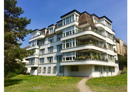 Mieszkanie do wynajęcia - Im Schilf Zurich, Szwajcaria, 155 m², 6565 USD (25 145 PLN), NET-100405240