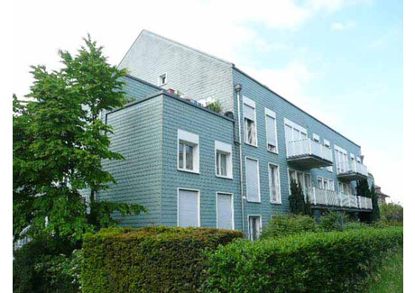 Mieszkanie do wynajęcia - Schaffhauserstrasse Zurich, Szwajcaria, 73 m², 2975 USD (12 167 PLN), NET-102266636