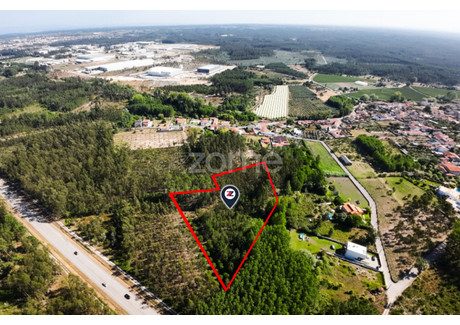 Działka na sprzedaż - Cantanhede, Portugalia, 4160 m², 19 912 USD (83 232 PLN), NET-101154076