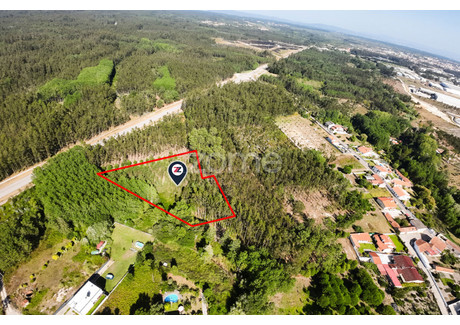 Działka na sprzedaż - Cantanhede, Portugalia, 4160 m², 19 534 USD (80 090 PLN), NET-101154076