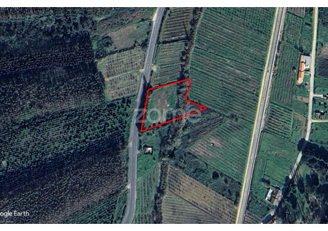 Działka na sprzedaż - Bombarral, Portugalia, 4240 m², 9746 USD (38 205 PLN), NET-100785534