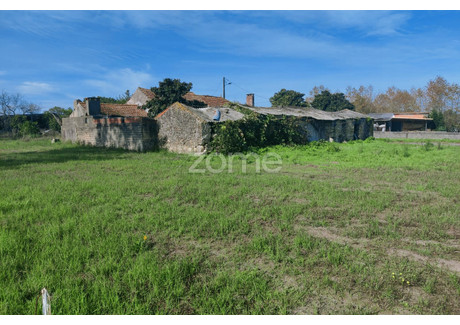 Dom na sprzedaż - Cantanhede, Portugalia, 145 m², 68 120 USD (284 741 PLN), NET-84635991