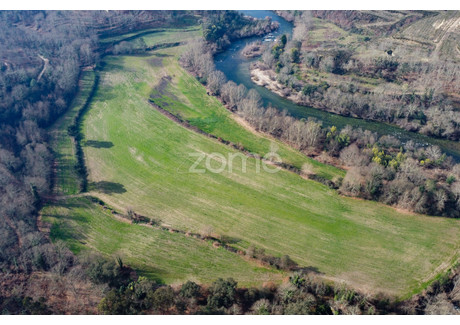 Działka na sprzedaż - Mondim De Basto, Portugalia, 105 000 m², 466 335 USD (1 949 282 PLN), NET-96947649