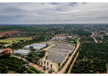 Działka na sprzedaż - Silves, Portugalia, 30 000 m², 254 644 USD (977 835 PLN), NET-92936864